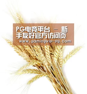 PG电竞平台 - 新手友好官方访问页