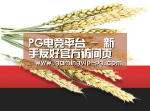PG电竞平台 - 新手友好官方访问页