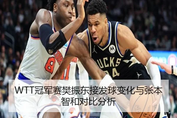 WTT冠军赛樊振东接发球变化与张本智和对比分析
