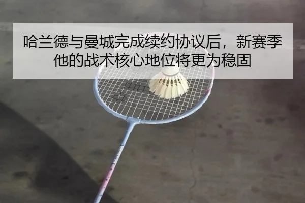 ha-lan-de-yu-man-cheng-wan-cheng-xu-yue-xie-yi-hou-xin-sai-ji-ta-de-zhan-shu-he-xin-di-wei-jiang-geng-wei-wen-gu-2-338.jpg