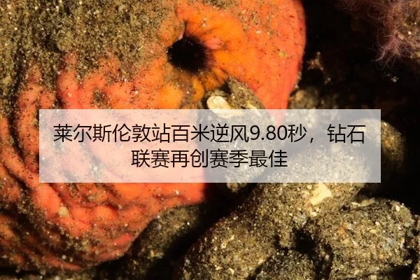 lai-er-si-lun-dun-zhan-bai-mi-ni-feng-miao-zuan-shi-lian-sai-zai-chuang-sai-ji-zui-jia-3-211.jpg