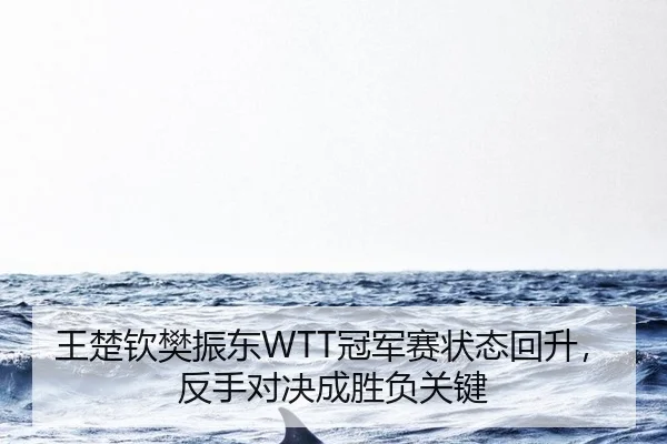 wang-chu-qin-fan-zhen-dong-guan-jun-sai-zhuang-tai-hui-sheng-fan-shou-dui-jue-cheng-sheng-fu-guan-jian-3-278.jpg
