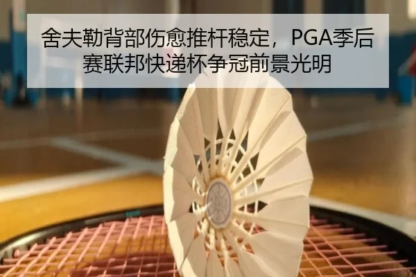she-fu-lei-bei-bu-shang-yu-tui-gan-wen-ding-ji-hou-sai-lian-bang-kuai-di-bei-zheng-guan-qian-jing-guang-ming-2-227.jpg