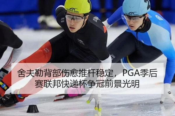 舍夫勒背部伤愈推杆稳定，PGA季后赛联邦快递杯争冠前景光明