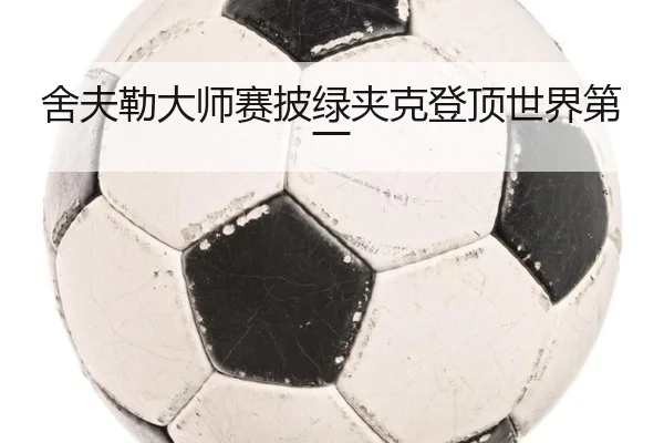 she-fu-lei-da-shi-sai-pi-lv-jia-ke-deng-ding-shi-jie-di-yi-2-562.jpg