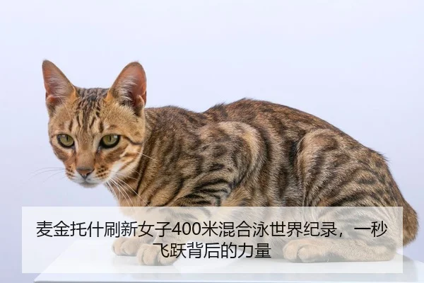 mai-jin-tuo-shen-shua-xin-nv-zi-mi-hun-he-yong-shi-jie-ji-lu-yi-miao-fei-yue-bei-hou-de-li-liang-2-713.jpg