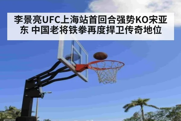 李景亮UFC上海站首回合强势KO宋亚东 中国老将铁拳再度捍卫传奇地位