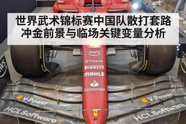 世界武术锦标赛中国队散打套路冲金前景与临场关键变量分析