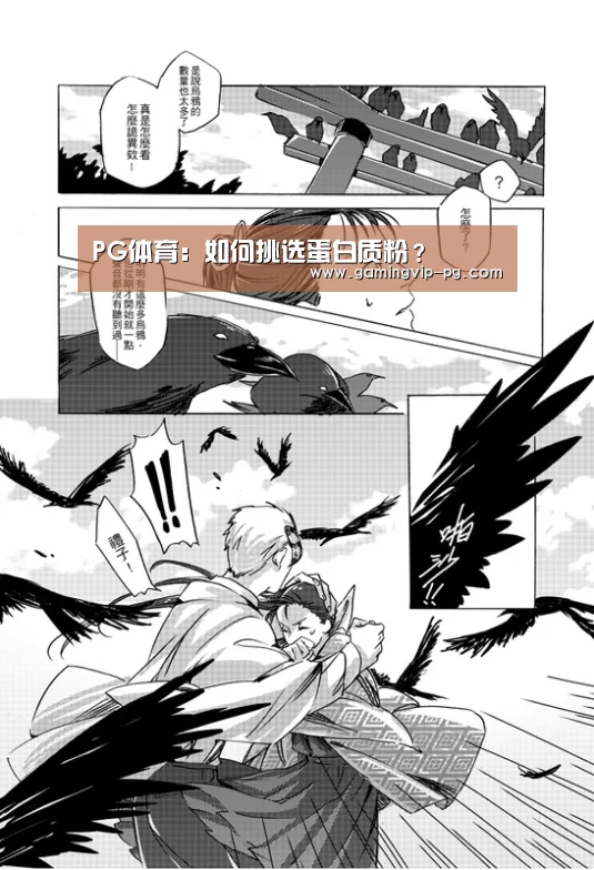 PG地址