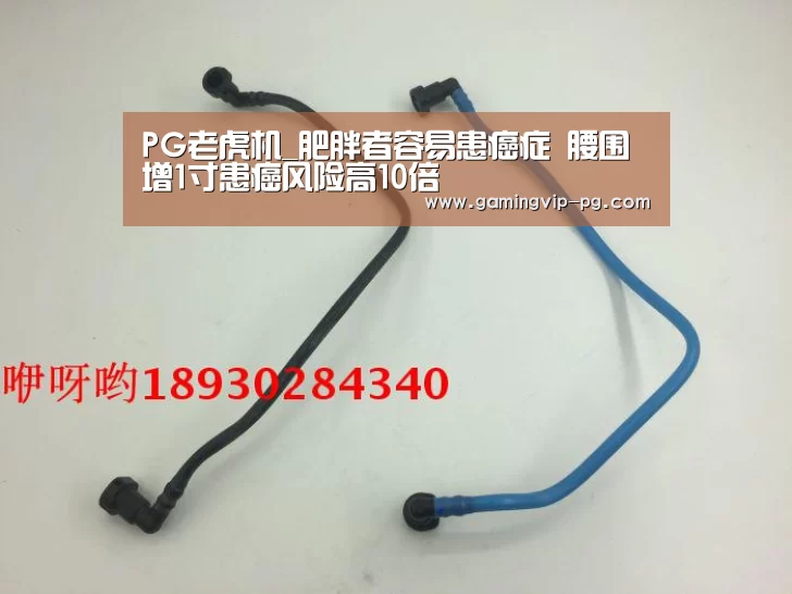 PG老虎机