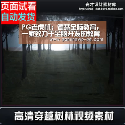 PG老虎机:德慧全脑教育,一家致力于全脑开发的教育机构(图4) PG体育